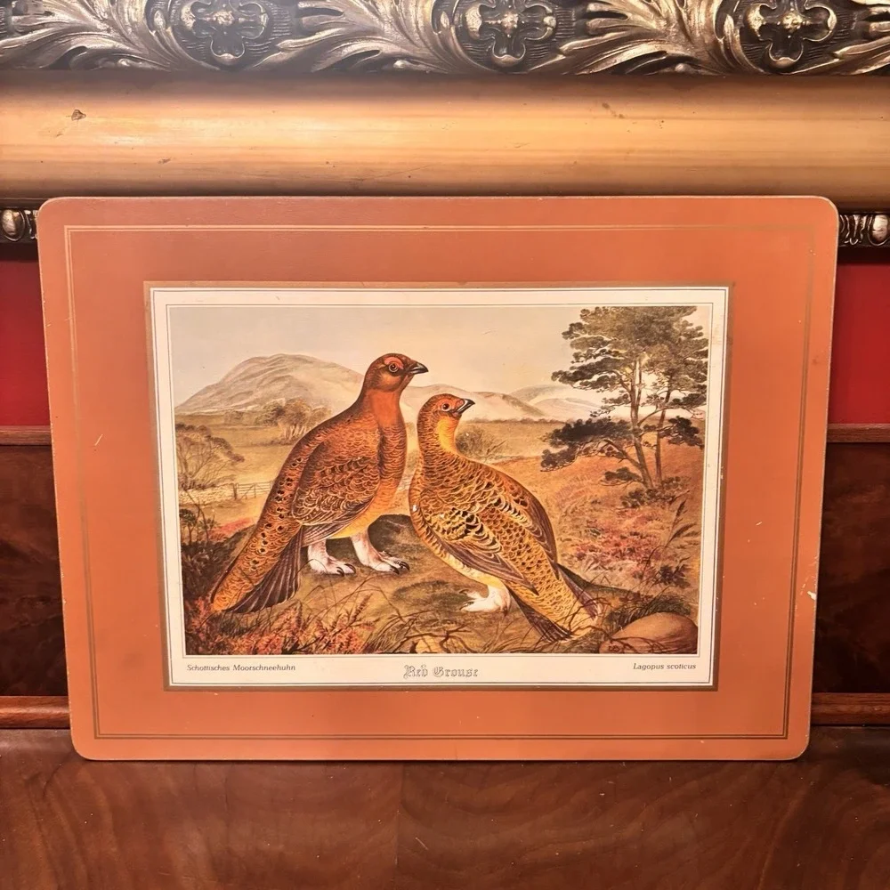Vintage Pimpernel Red Grouse Cork Back Placemats Set‎ of 4 Wildlife Bird